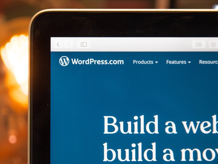 A laptop screen showing the WordPress homepage with the headline 'Build a website, build a more...'.